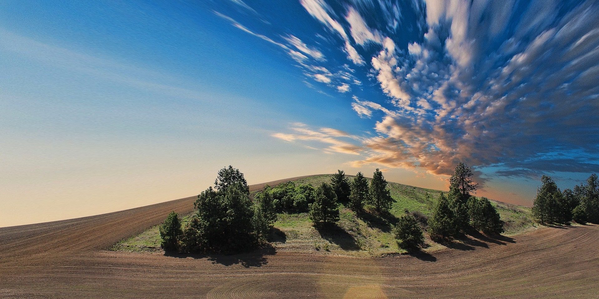 farmland-768603_1920