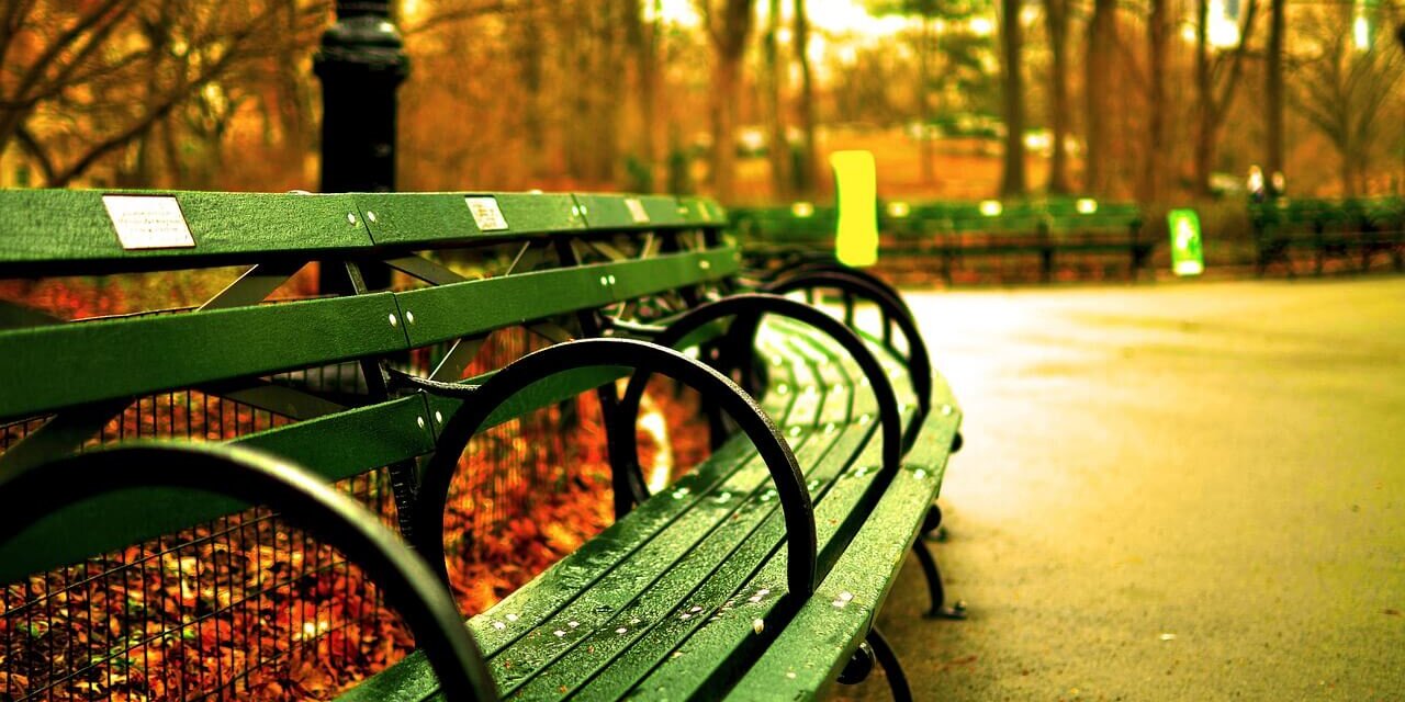 central-park-535645_1280