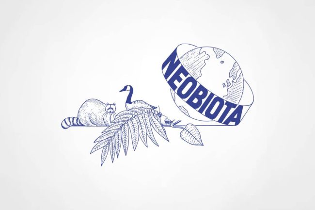 Neobiota